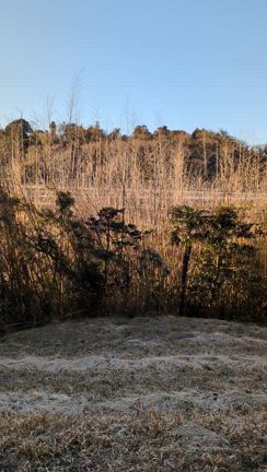 心配されちゃったの記事動画