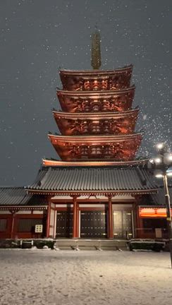 雪すっげー！！＠東京23区。の記事動画