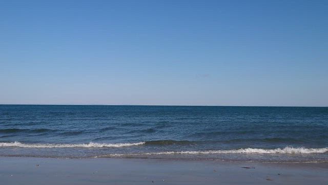 阿漕浦の記事動画