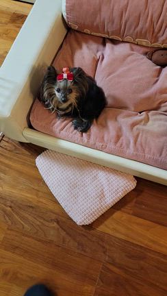 止まっていたエアコンの記事動画