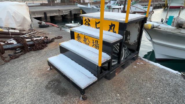 みて～みて～～♬の記事動画