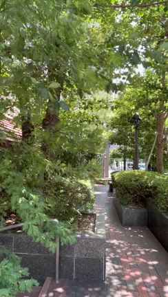 真夏の健康診断の記事動画