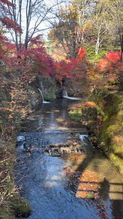 雲ババ池？への記事動画