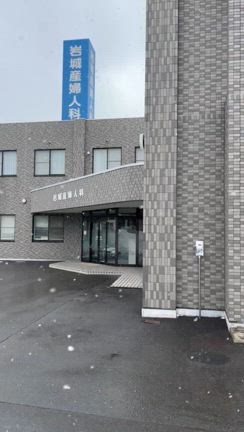 今日は雪(՞߹ - ߹՞)の記事動画