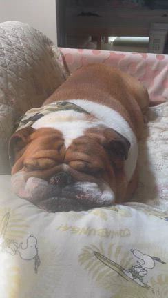 たまには運動を(￣▽￣;)の記事動画