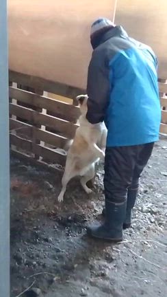 玄との戯れの記事動画