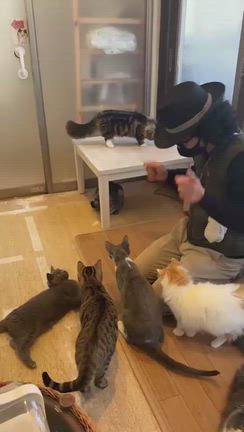 明るい気持ちで火葬への記事動画