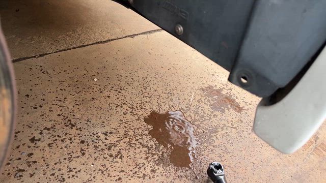 昨日も明日もですが今日も。の記事動画