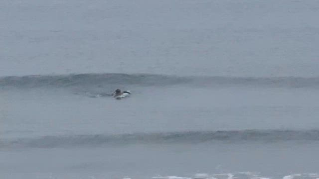 朝練の記事動画