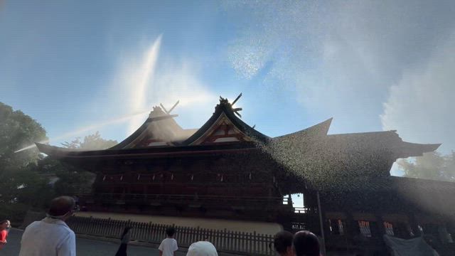 猛暑だけど楽しかった高知旅パート③の記事動画