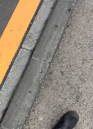 記憶障害で迷子。の記事動画