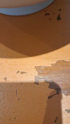 ラーメン浜ねっこ 栗原市築館の記事動画