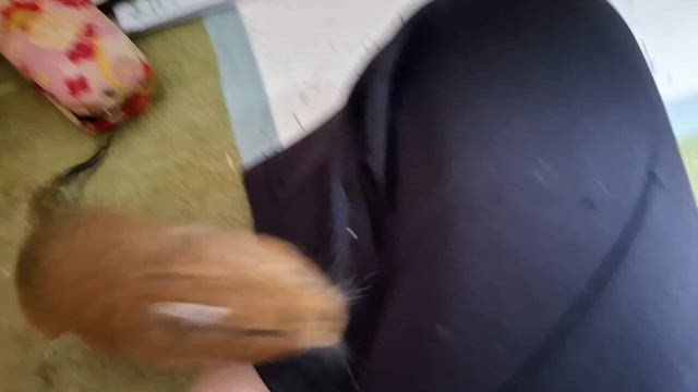 まめちゃん好プレーの記事動画