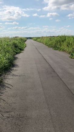 浮間ゴルフ至近の除草作業に仕事してない警備員…セルフで注意するロードバイク通勤の記事動画