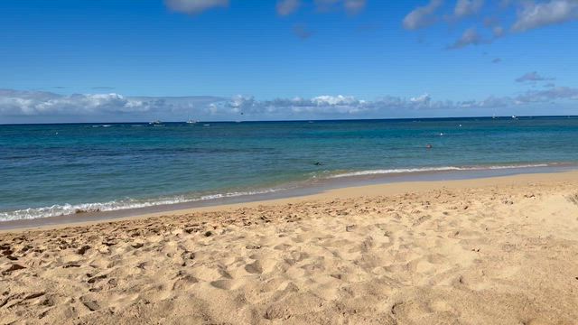 2度目のハワイ旅行2日目-1の記事動画