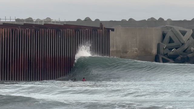 マイコー2の記事動画