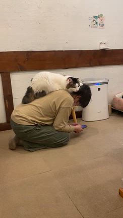 皆さま、無料の裏を考えてくださいねっの記事動画