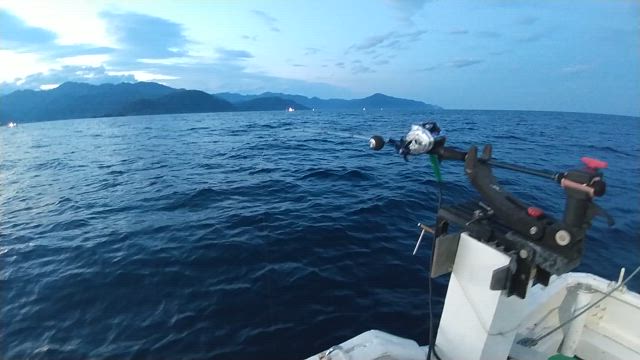 アカイカよりも️の記事動画