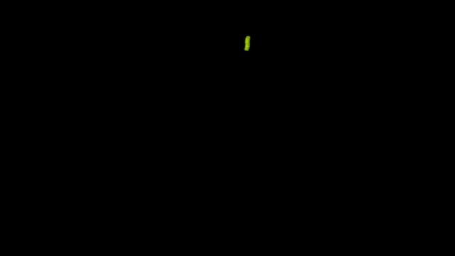 夙川のホタル（6/4の様子。）の記事動画