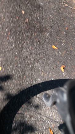 OB会2024秋③の記事動画