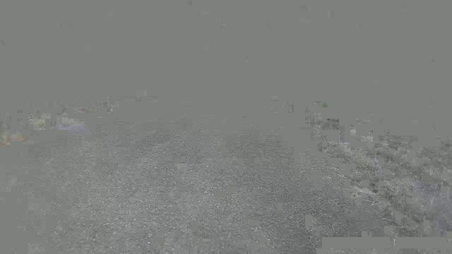 幸せだなと思った今日の記事動画