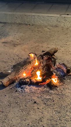 賀茂川を渡って、清荒神への記事動画
