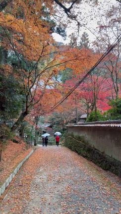 西国三十三所順打ち「西播磨の札所巡り」の記事動画