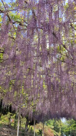 GW始まりの記事動画