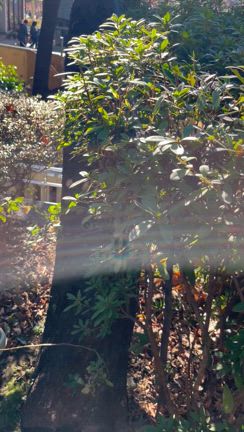 引き寄せは…の記事動画