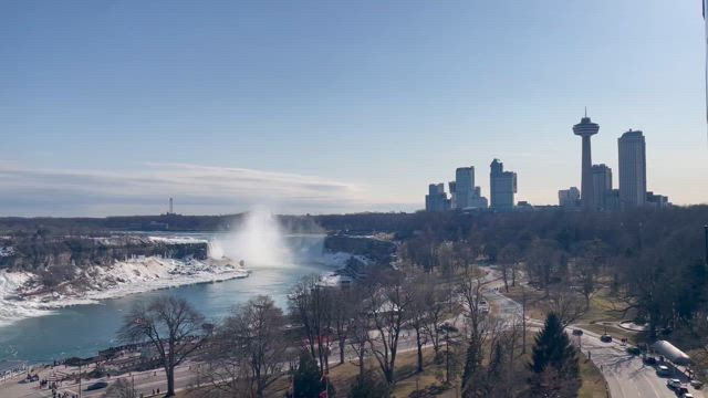 娘家族に会いにアメリカへ〜Part2の記事動画