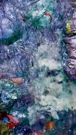 草津の記事動画