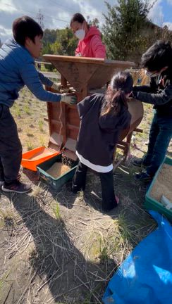 　お米作り体験レポの記事動画