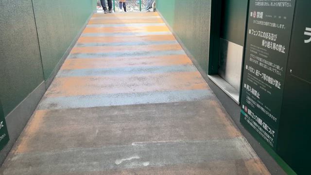 甲子園の記事動画