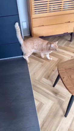 冬支度。の記事動画