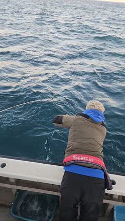 昨日と今日の釣果報告の記事動画