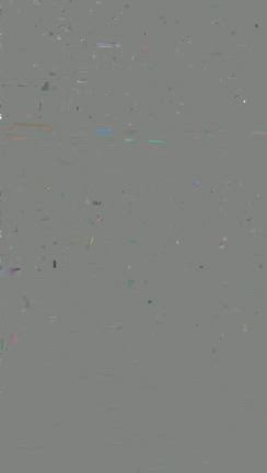 ラグビー観戦の記事動画