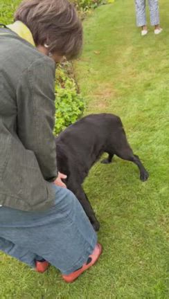 イギリス5日目その2の記事動画