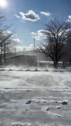 パウダースノーの記事動画