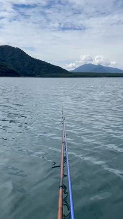 釣果報告の記事動画