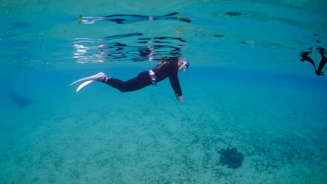 水濡れ寒さには勝てないの記事動画