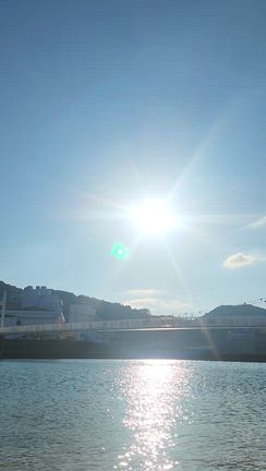 来年に向けての行動の記事動画