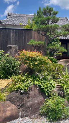 40代からは気ままな旅の記事動画