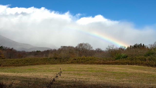 ◆虹を見たら“完全に大丈夫！”のサインの記事動画
