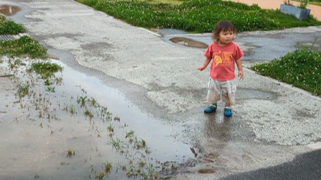 泥遊びとお家カフェの水曜日。の記事動画