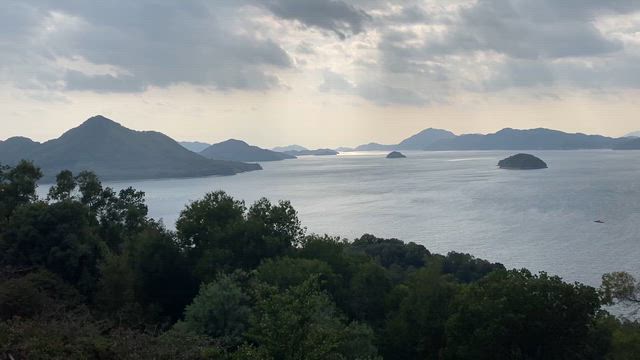 6年ぶりにうさぎの島に行ってきた！の記事動画