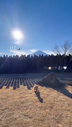 アブラサス富士河口湖の記事動画