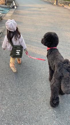 そのくせ泣いてしまうの記事動画