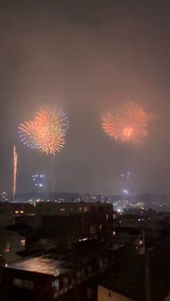 花火の記事動画