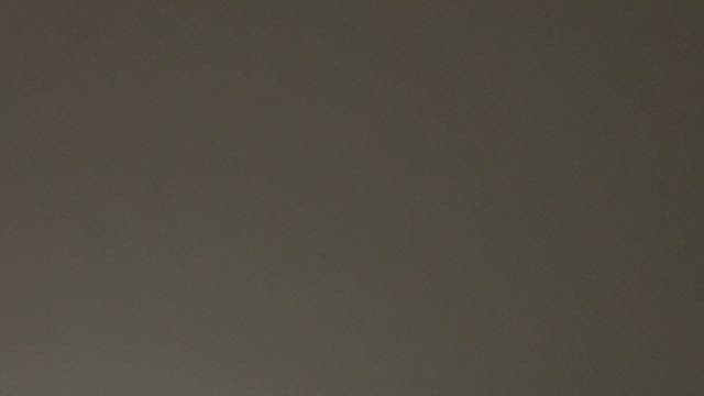 2024/08/07の記事動画