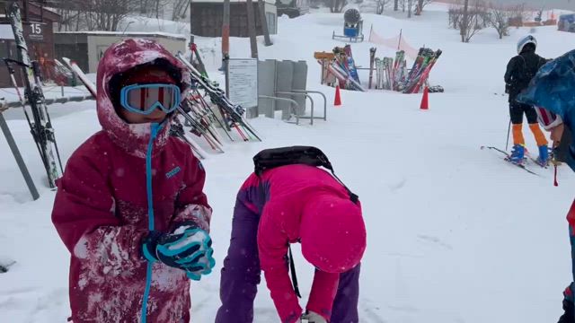 菅平パインビークスキー場　家族連れに優しいコース！の記事動画